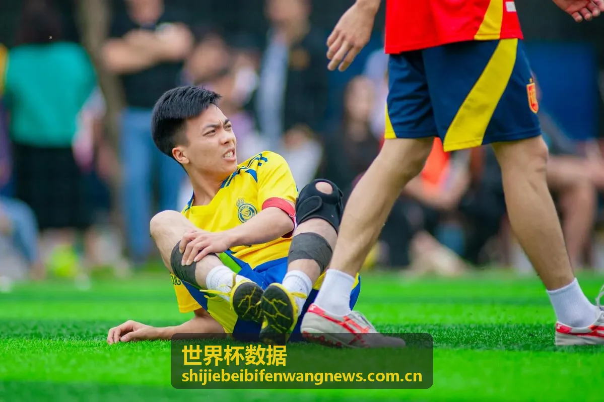 世界杯数据历史纪录回顾